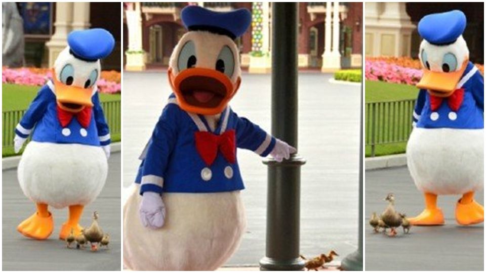 唐老鴨85歲生日快樂！迪士尼「唐老鴨去旅行」周邊開賣，行李箱、護照夾實用必搶！
