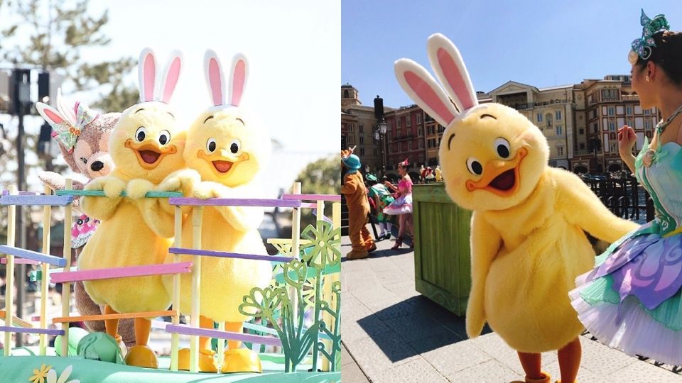 東京迪士尼春季新角色，呆萌「兔耳小雞」，復活節超萌登場！