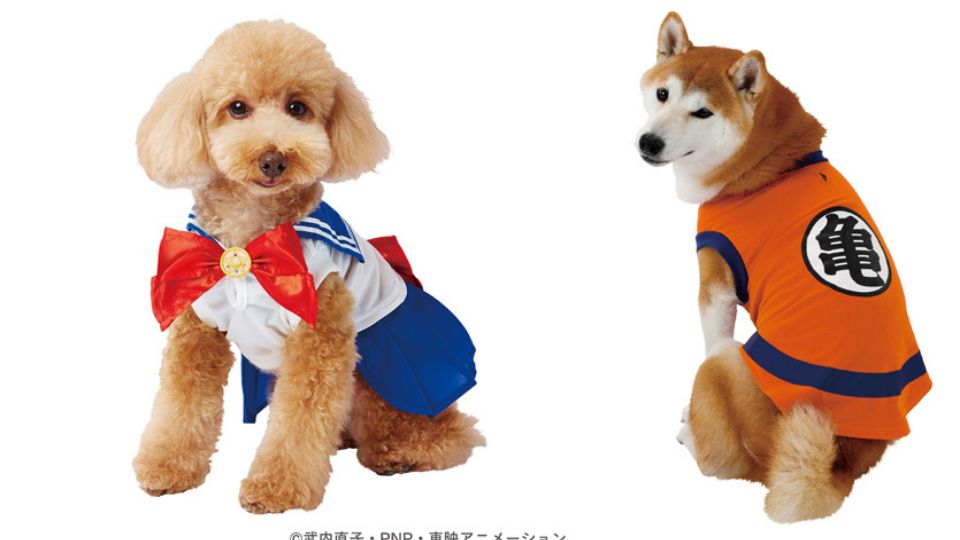 日本全新寵物品牌「Charapeti」，首推美少女戰士、七龍珠聯名商品，貓奴狗奴都暴動啦！