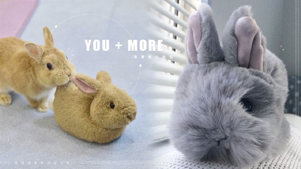 日本YOU+MORE!「兔寶寶化妝包」療癒感滿分！每隻都鬆軟到超欠捏～