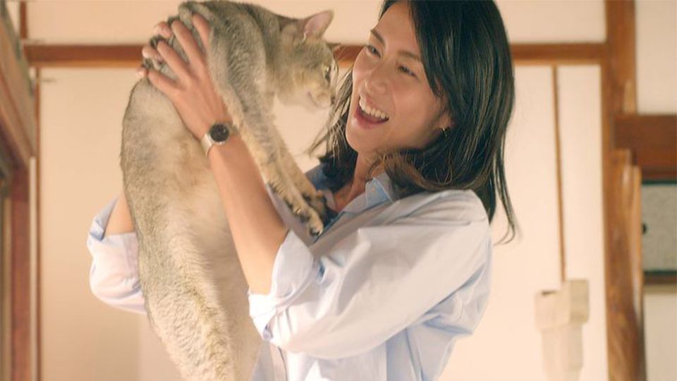 愛貓人必看！日本新片《爺爺與喵》，改編自，展現人與貓之間最深的羈絆！