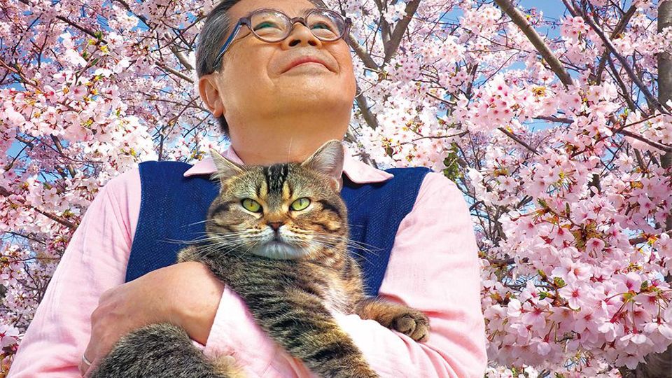 愛貓人必看！日本新片《爺爺與喵》，改編自，展現人與貓之間最深的羈絆！