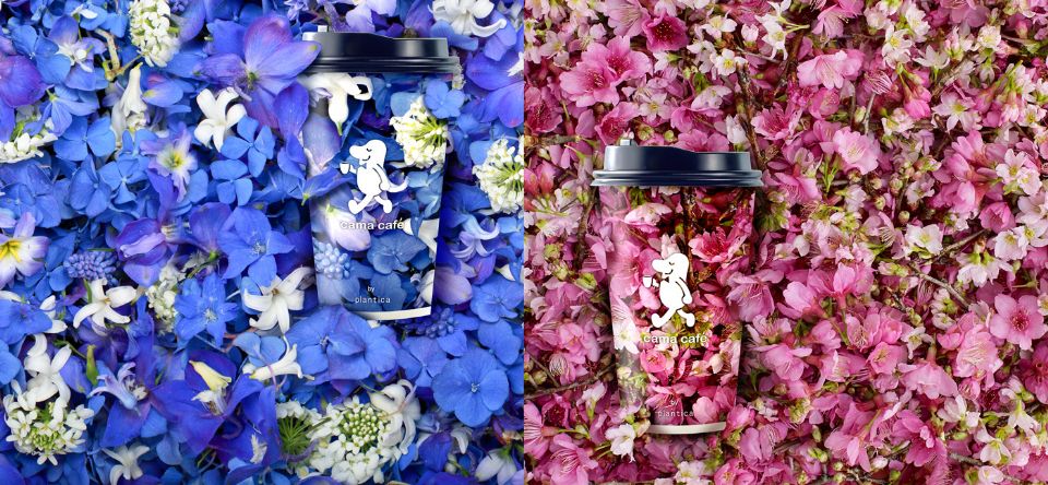 cama café X日本國際花藝設計團隊plantica推出期間限定花杯