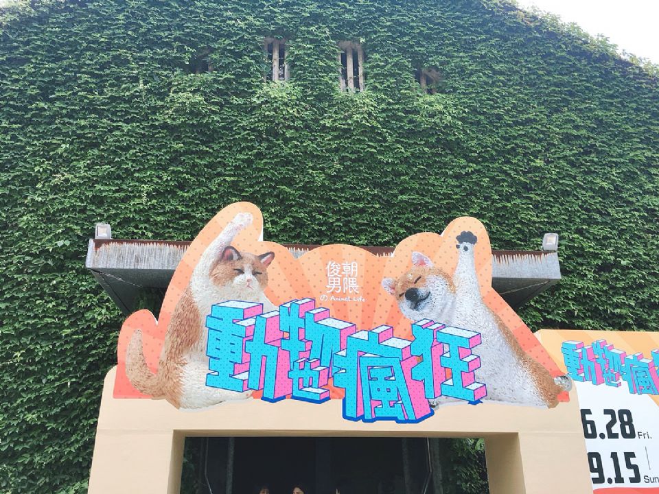 「動物也瘋狂 朝隈俊男のAnimal Life」登陸台灣！超過30隻等身大型公仔療癒又好拍！