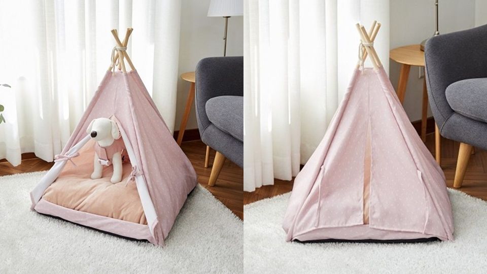 毛小孩專屬「超夢幻小帳篷」，讓你在家跟寶貝一起發懶！奴才們錢包趕快準備好！
