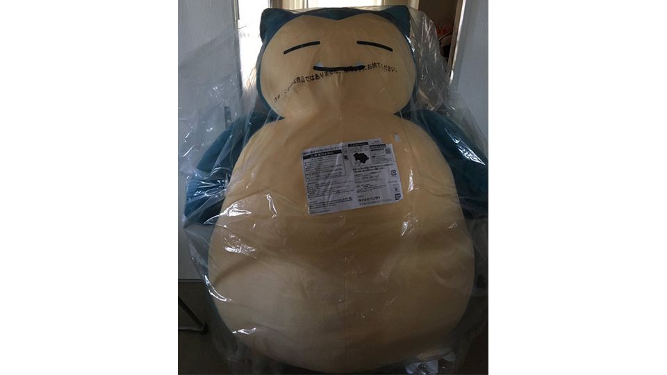推特熱議「巨型卡比獸玩偶」！療癒的表情和尺寸，購買時請先注意是否進得了家門！