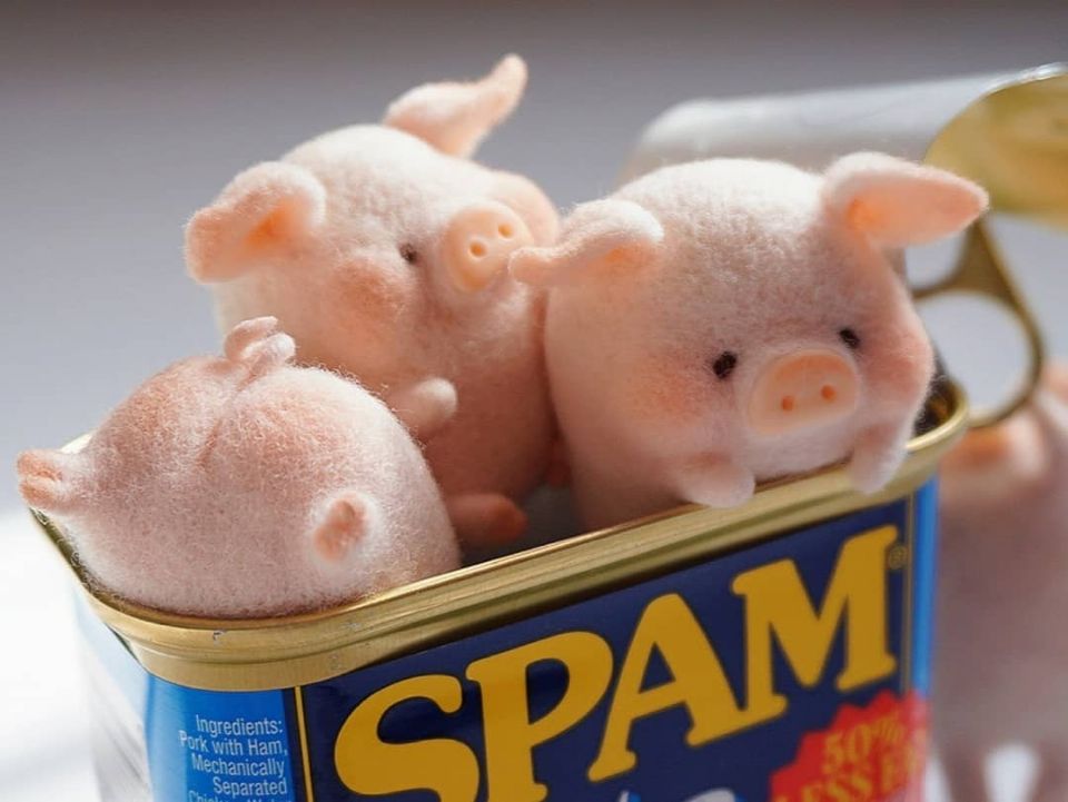 近期最紅的豬仔是它！住在罐頭裡的超萌「罐頭豬LuLu」，小豬控絕對要收藏！