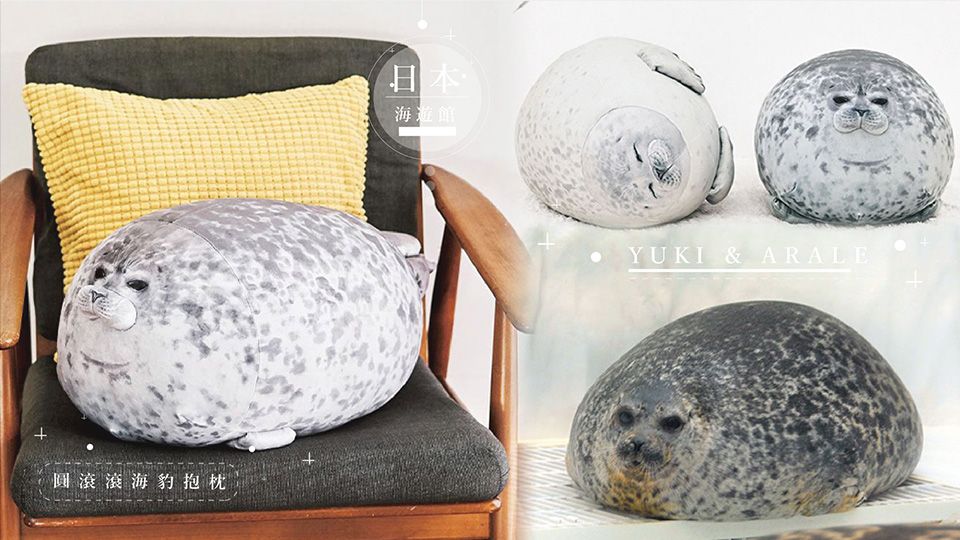 日本海遊館「圓滾滾海豹」變成抱枕啦！爆紅的YUKI、Arale仿真版抱枕，圓嘟嘟模樣一推出就引發熱議！