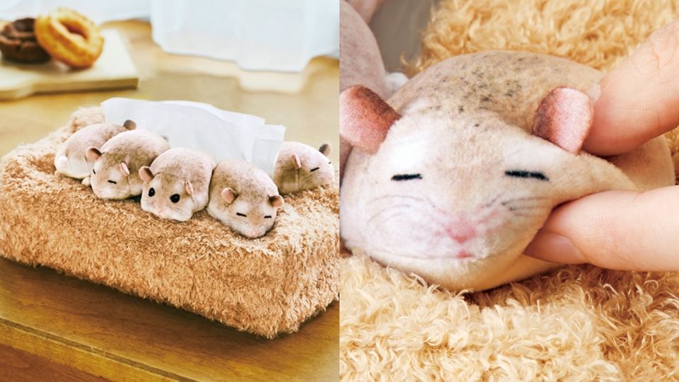 日本YOU+MORE推出可愛倉鼠系列雜貨，五隻倉鼠趴在衛生紙盒上打瞌睡，模樣萌度破表！