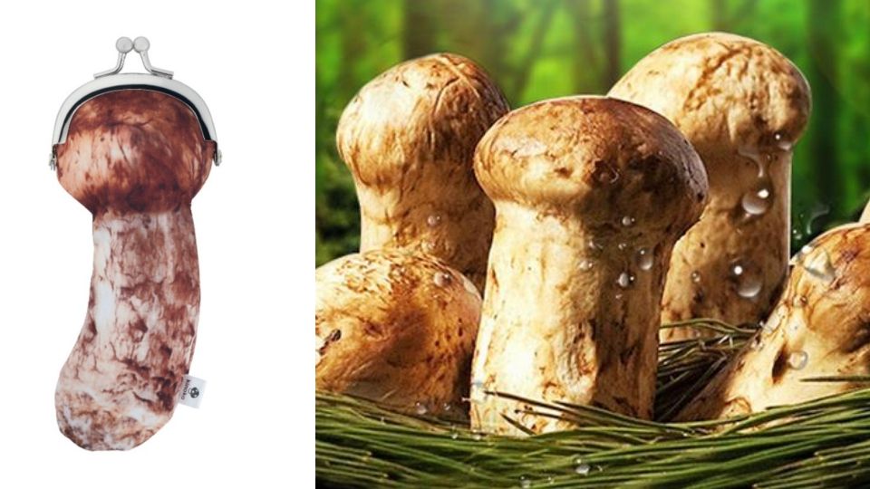 「你的錢包長蘑菇了！」日本扭蛋T-ARTS推出六款獵奇蘑菇零錢包，毒菇vs.食用菇通通有！
