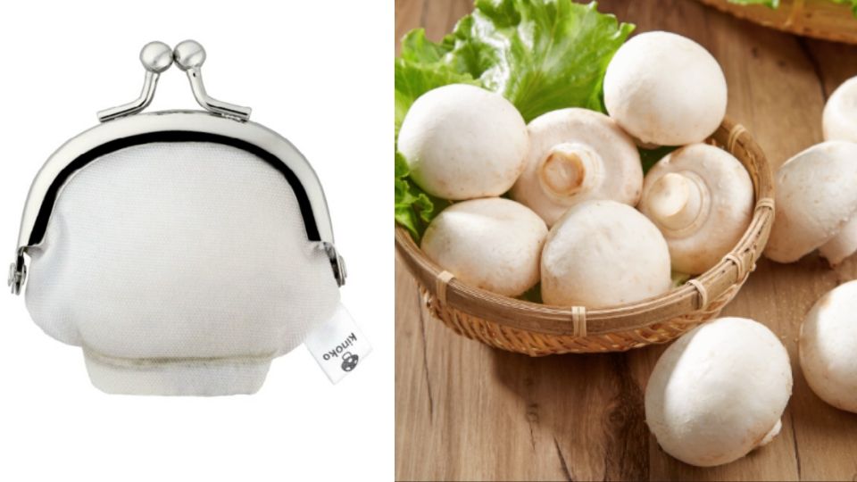 「你的錢包長蘑菇了！」日本扭蛋T-ARTS推出六款獵奇蘑菇零錢包，毒菇vs.食用菇通通有！