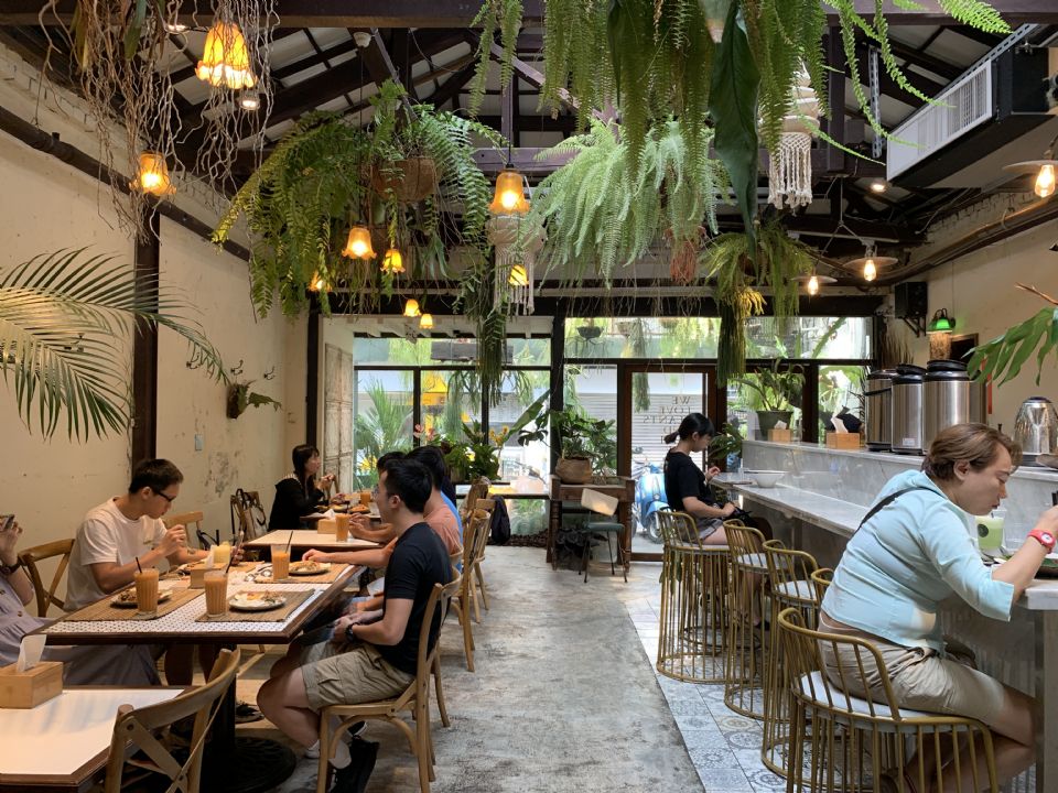 IG打卡地標＋1！台南森林系泰式料理「珍妮花與南洋杉」，好吃又好拍的高顏值餐廳！