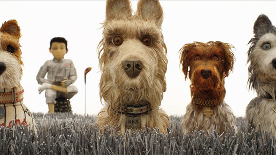 療癒系狗狗動畫《犬之島》！ 《歡迎來到布達佩斯大飯店》威斯安德森睽違9年再推出零負評動畫電影