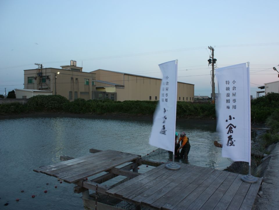 日本來台百年鰻屋「小倉屋」盛夏鰻魚祭開跑，土用丑之日就用鰻魚來補充元氣