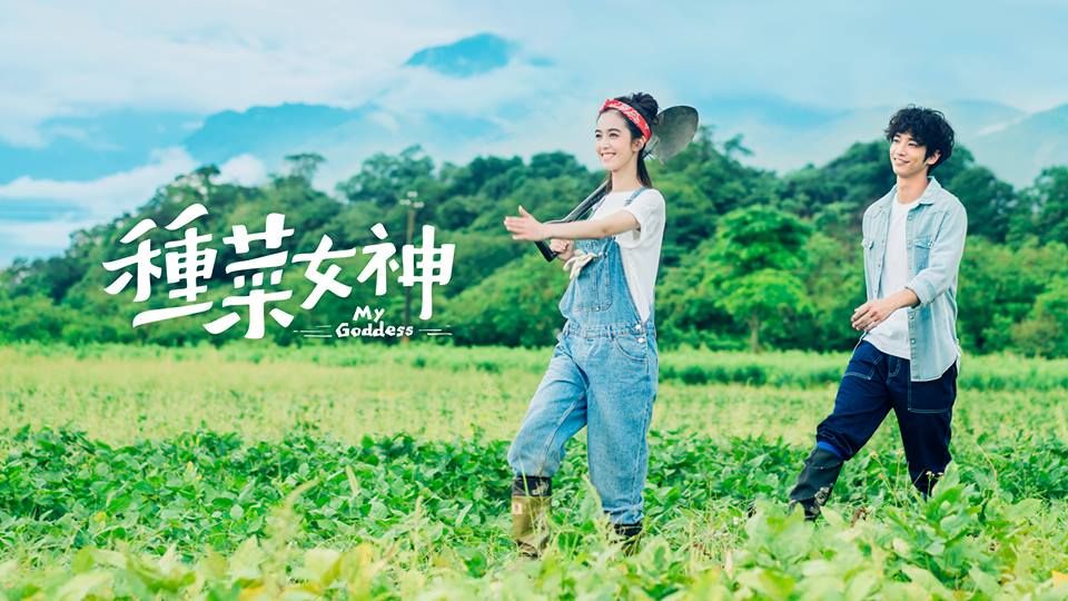 《種菜女神》劉以豪、陳庭妮及李千娜KUSO裝扮預告釋出！網友驚呼太有創意！