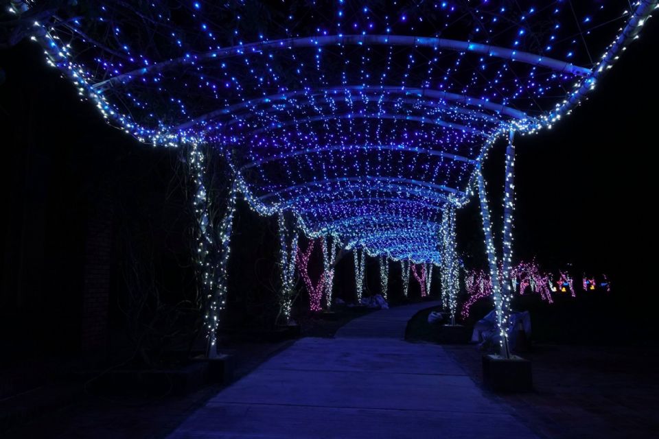 2018宜蘭奇幻耶誕村一定不能錯過，絕美耶誕燈飾美景都在這裡！