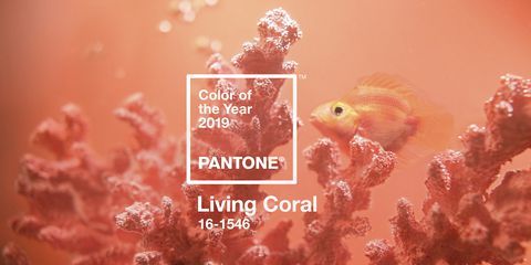 PANTONE 2019年度代表色Living Coral，10大彩妝單品一定要入手