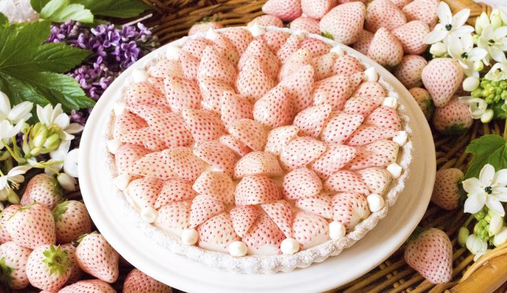 日本草莓季限定甜點登場，到日本旅遊絕對不能錯過的草莓甜點還不快收進口袋名單！