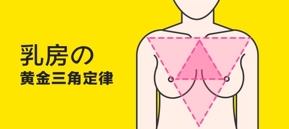 美波「黃金比例」大公開！3 Tips 輕鬆養出傲人美波！