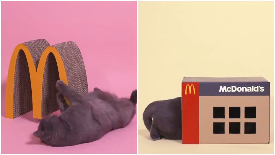 貓奴必收！日本麥當勞推出大薯逗貓棒、貓抓板、漢堡貓窩！