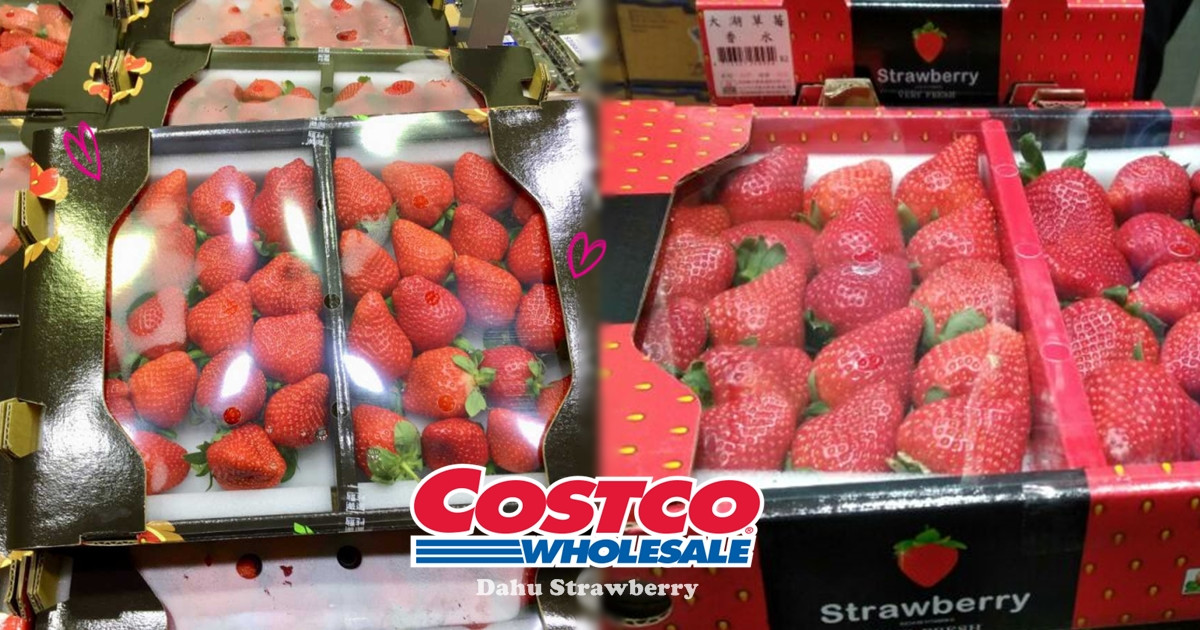 草莓控快衝 Costco 大湖草莓 強勢回歸 滿滿超大顆草莓就在好市多 Beauty美人圈