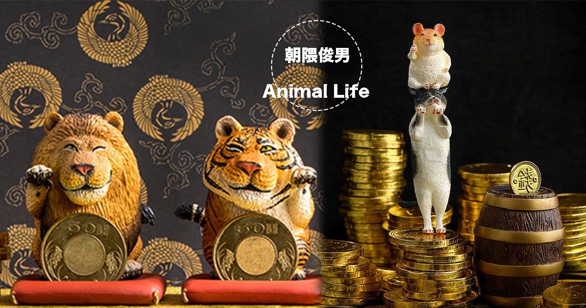 朝隈俊男　サイン入り　猫の留守番 新品未開封 朝隈俊男招財野生大貓Series II