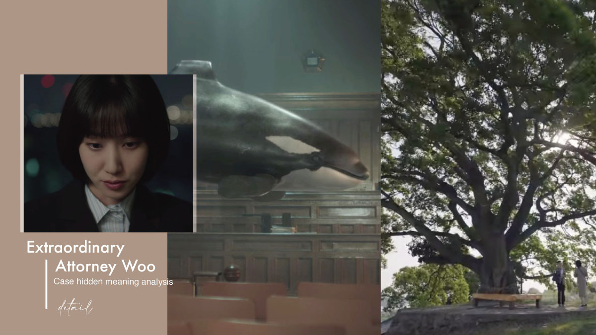 禹英禑》案件隱藏意義解析！背鰭彎曲的虎鯨以「提利康」為原型，「朴樹」設定藏深意