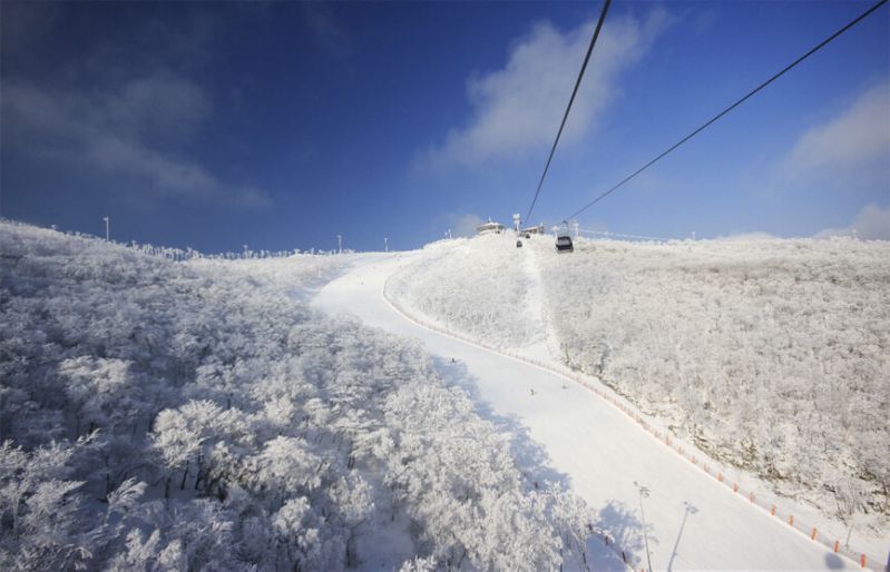 韓國滑雪渡假村推薦！鬼怪、藍色生死戀都在這取景，不會滑也要去
