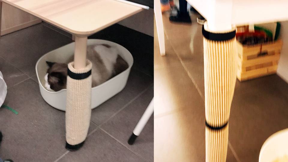 IKEA寵物新品推薦！主人必買寵物慢食碗、超強功能床介紹