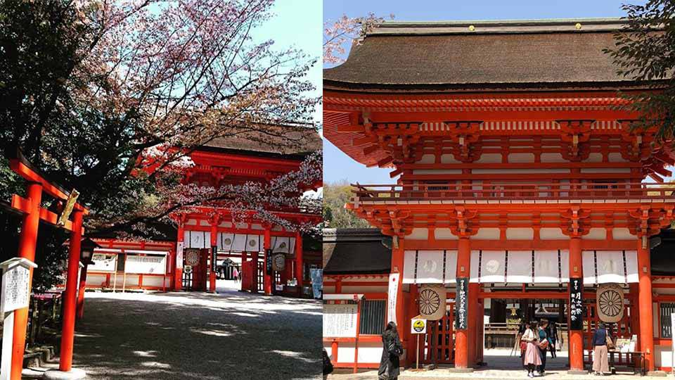 京都超夯戀愛神社推薦！這間居然還能祈求嫁入豪門