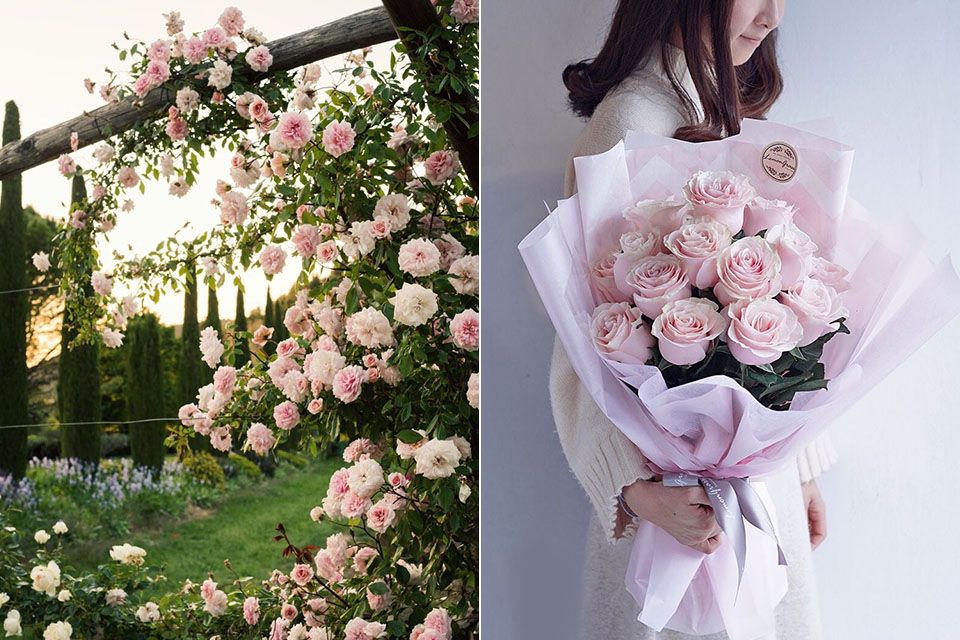春天用玫瑰寵愛自己~賞玫瑰、喝玫瑰茶、品嚐玫瑰甜點，連保養也用玫瑰細心呵護，擊退換季老化！