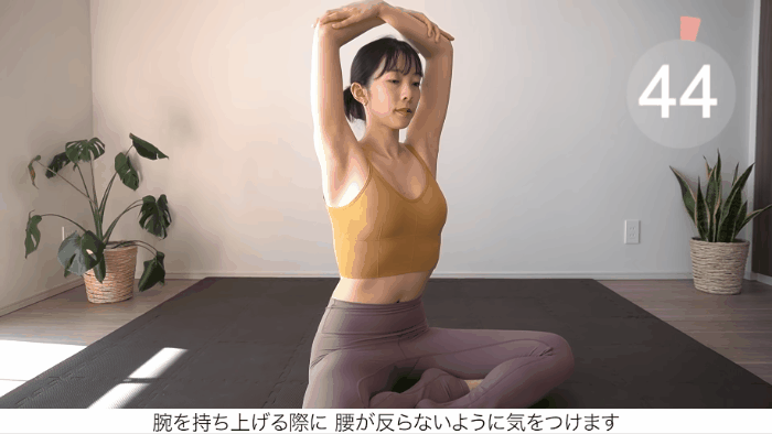 日教練「瘦肩膀運動」  日本語フォーラム
