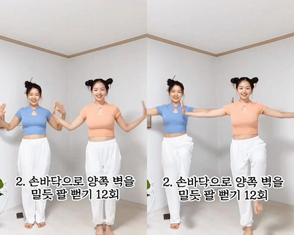 消副乳、瘦手臂運動2:W字平推