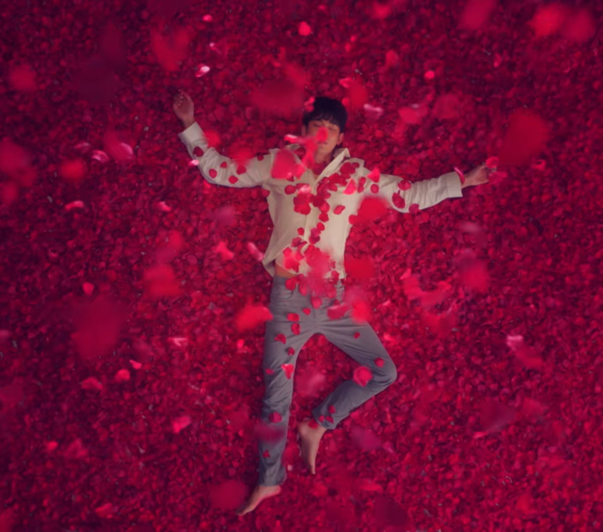 《雖然是精神病但沒關係》致敬彩蛋解析7:《美國心玫瑰情》壓抑的鋼太