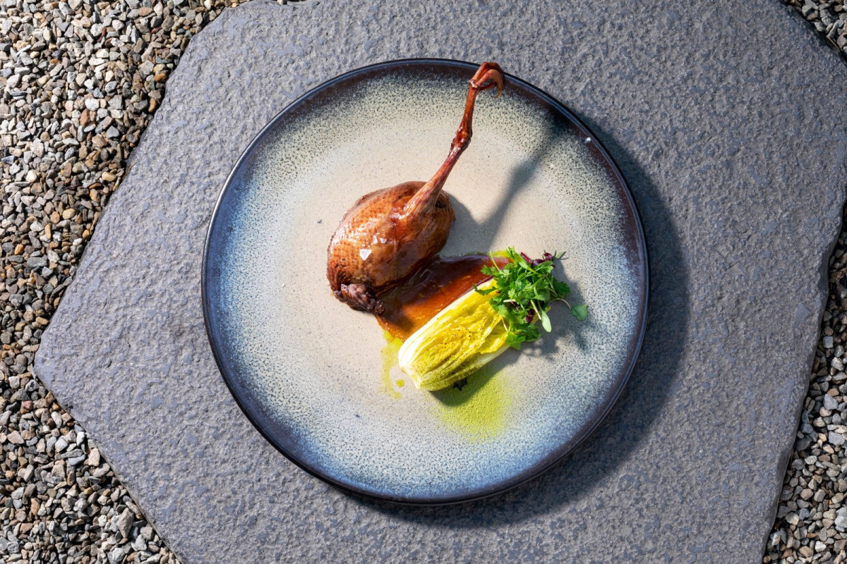 米其林2020《臺北臺中米其林指南 2020》新進榜店家:Logy