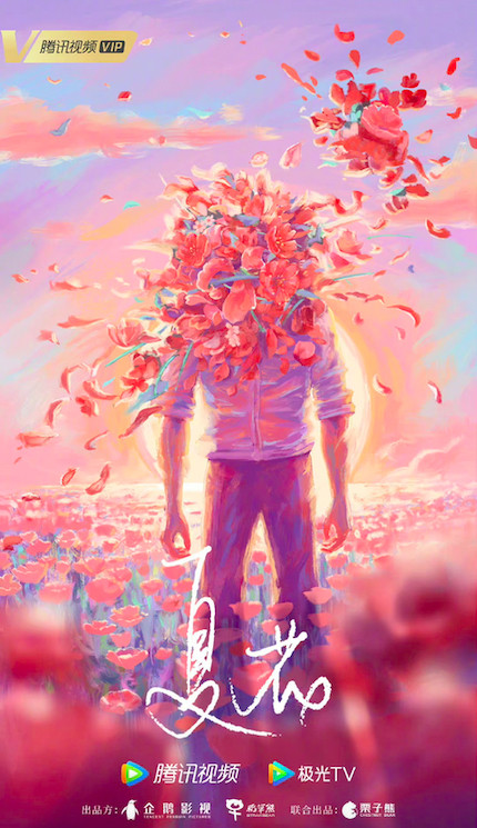 新定角的陸劇CP 9：言承旭＆徐若晗《夏花》