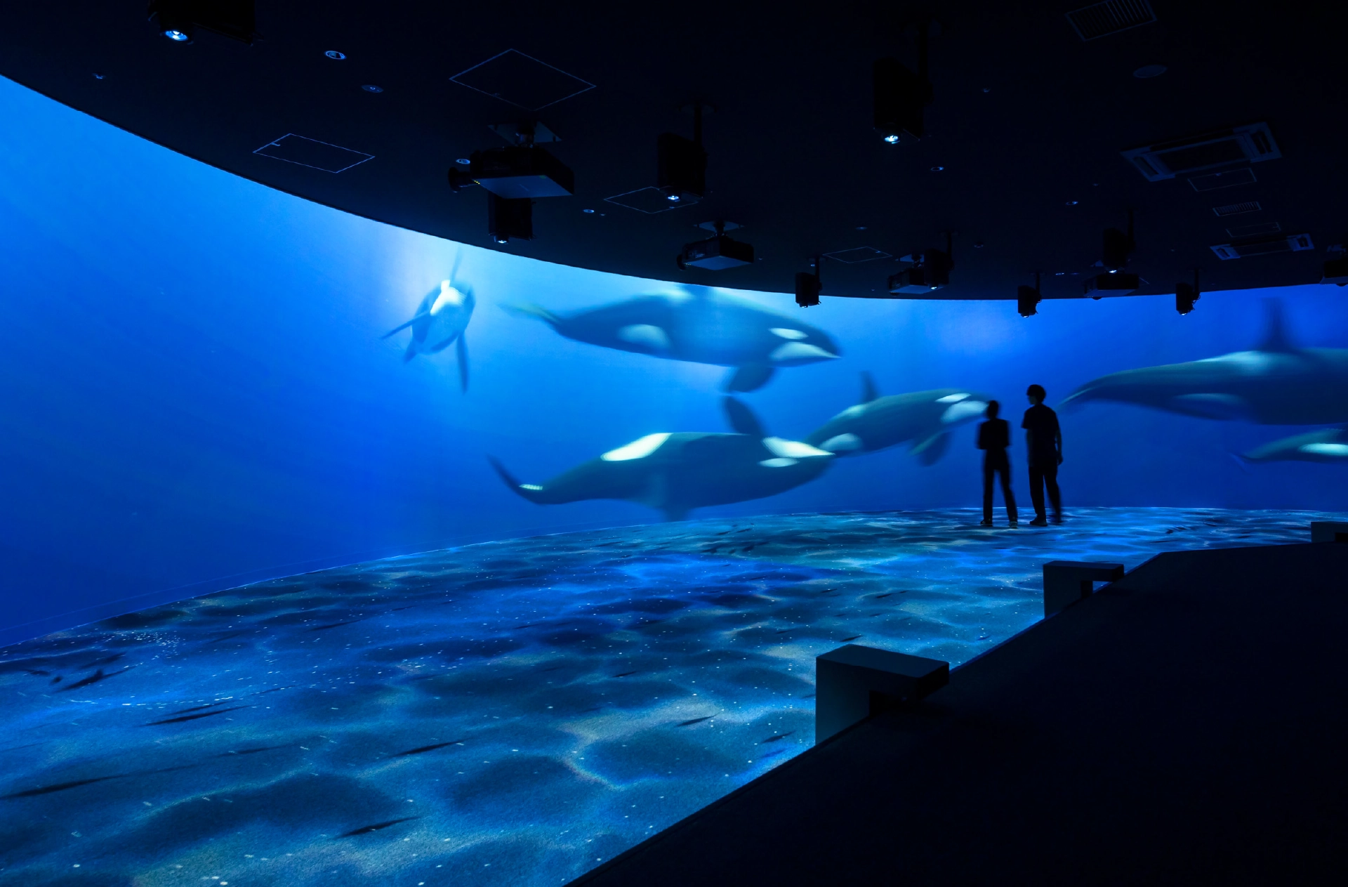 北海道景點9：札幌水族館AOAO SAPPORO