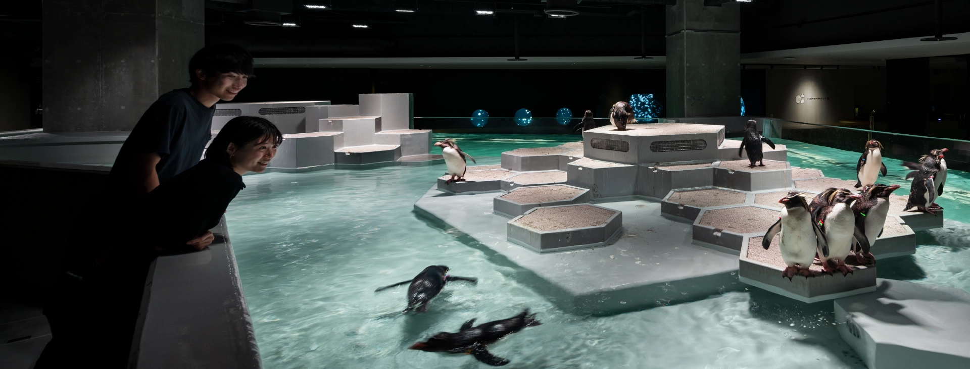 北海道景點9：札幌水族館AOAO SAPPORO