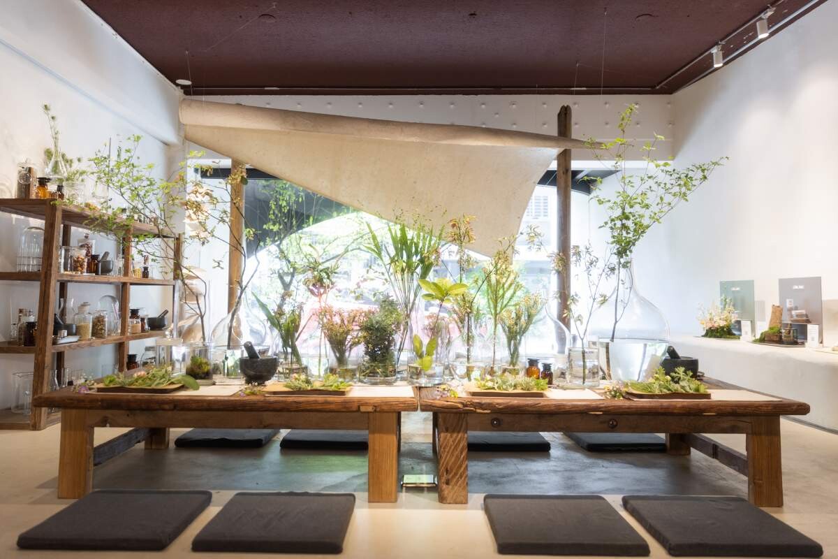 LINLANG 全效修護精華 全效修護霜