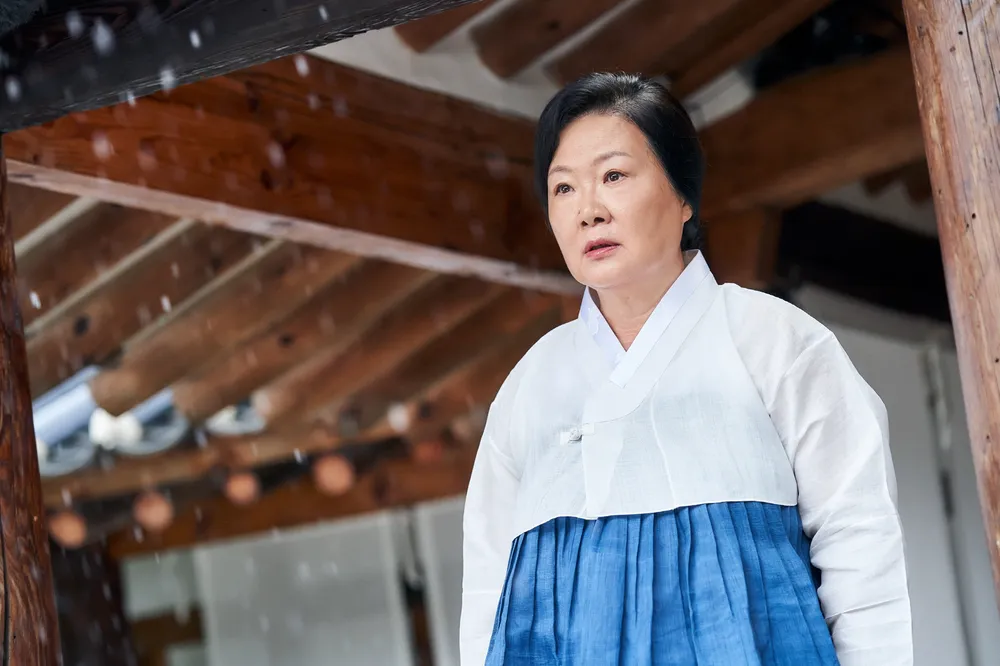 Netflix《浮游先生》劇情看點