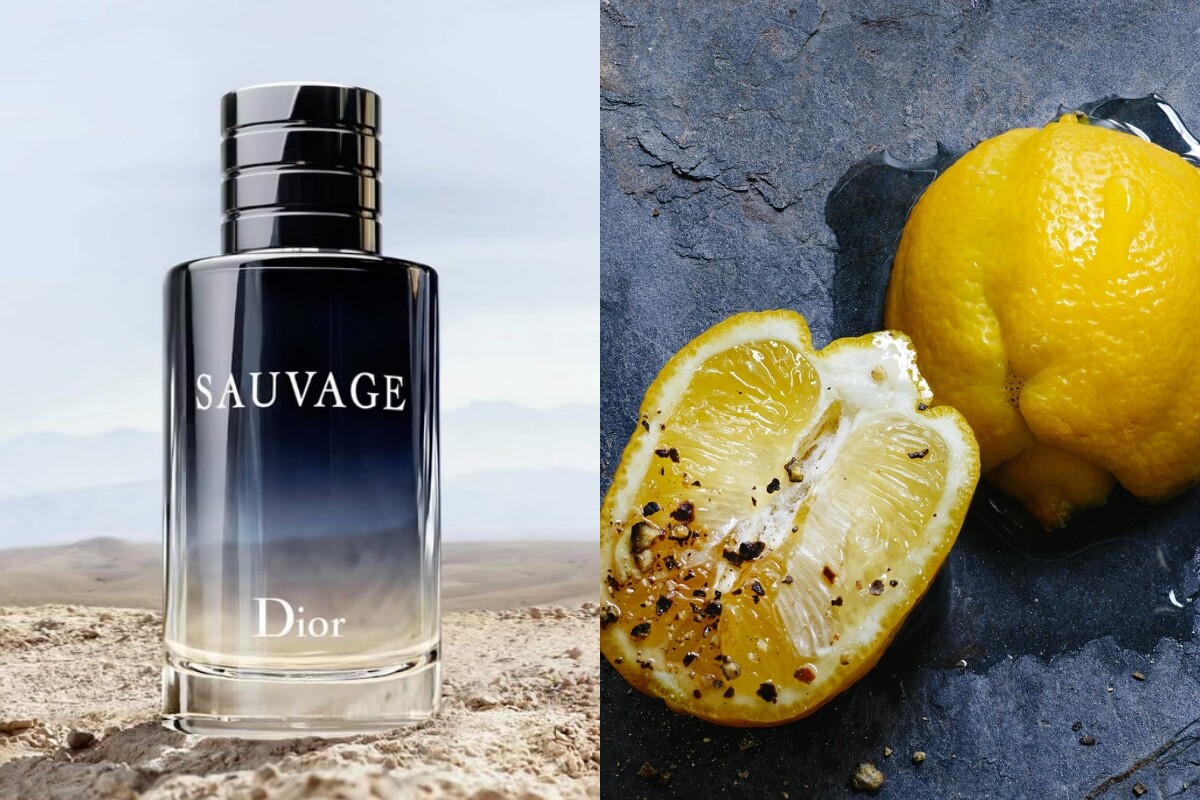 DIOR熱賣香水推薦4：SAUVAGE 曠野之心淡香水